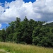 Die ersten Meter sind geschafft, rechts unten liegt der Wanderparkplatz, Der Weg links im Bild ist für den normalen Verkehr gesperrt. Die weisse 2 auf rotem Grund führt bis zum Gipfel des Hirschenstein.