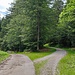 Die Beschilderung der Wanderweg muss man echt loben, an den wichtigen Kreuzungen gibt es davon schon fast zu viel. Inzwischen bin schon auf der Abkürzung (Schild) zum Hirschenstein, die gleich wieder (Laubhaufen in der Wegkreuzung) etwas steiler hinauf zum Schuhfleck führt. Der bequeme Weg, (Schild) leitet über die rechte Forststraße in einfacher Steigung zum Schuhfleck.