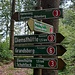 Dieser Wegweiser (oben) hat mich ganz verrückt gemacht. Hier wird doch nicht wirklich ein Klettersteig versteckt sein? Die Richtung meiner geplanten Tour stimmt. Des schau´n wir uns mal an, würde der Niederbayer sagen.
