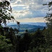 Ausblick vom Jägerkreuz nach Westen in Richtung Schwarzach.