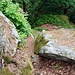 Verdeckter Abstieg (links), rechts ist es ausgesetzt.Eventuell könnte man von der Schwierigkeit ein T3 geben. Bei Nässe oder Frost kann es an dieser Stelle schnell heikel werden.
