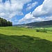 Weideland zwischen St-Imier und Sonvilier