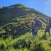 In questo punto studiamo i due percorsi "teorici", quello segnato sulle mappe (verso destra) e quello suggerito dai <i>locals</i> (a sinsitra)