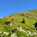 Ecco le baite della Motta