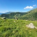 Belvedere della Motta