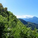 Traverso tra le felci verso le baite di Possoro