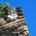 <b>Bassorilievo al Monte Orsa.</b>