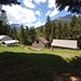 alpe Boschetto