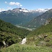 vista dall'alpe Forno