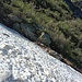 l'attraversamento del canale del rio degli Orti