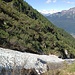 il canale del rio degli Orti e il versante attraversato