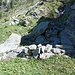 ruderi di una baita dell'alpe Forno
