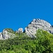 Gonzen mit dem Lauiwald