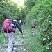 Subito dopo il ponte, ad un bivio, si prende a sinistra e si risale la ripida mulattiera del sentiero che si dirige verso Dangri e la Capanna Como, percorrendo la Val Darengo.