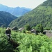 Raggiunte le baite più alte di Baggio, si seguono alcune tracce di sentiero che salgono in una prateria di felci; qui Paolo avanza con circospezione cercando di allontanare le foglie dal sentiero per ridurre il pericolo dell’incontro con le zecche…