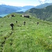 In ordine sparso verso le baite dell’Alpe Motta.