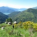 Ginestre in fiore e felci la fanno da padrone su questi versanti.