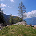 Panorama dall'Alpe Salosa di Cresciano