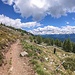 Sentiero Italia - Ex-mulattiera militare Lughina-Passo Meden