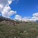 Col da Salarsa