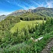 Blick zum Hochturm