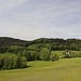 hinauf nach Oberhirschberg