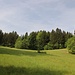 über Wiesen und durch Wälder