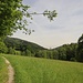 schöner Wiesenweg