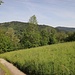 erstmal geht es hinab zum Bach