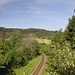 Woidbahn
