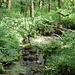 wieder unten am Kollbach