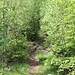 Gipfelanstieg