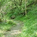hinab ins Tal