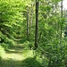 links vom Bach geht es dahin