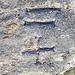 Zeichen aus einer anderen Welt (Pizzo Costisc)