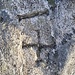 Zeichen aus einer anderen Welt (Pizzo Costisc)