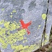 Zeichen aus einer anderen Welt (Pizzo Dromegio)