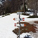 Alpe Musella.