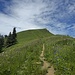 Rückblick zum Gipfelaufbau des Buochserhorns. Von hier sieht man das grosse Gipfelkreuz bereits nicht mehr, da die Schulter die Sicht verdeckt.