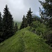 Ist der Grat zum Buochserhorn erreicht, purzelt der Schwierigkeitsgrad.