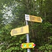 Unser Startpunkt auf 700m. Hier hat es genug Platz um ein paar Autos zu parkieren. Wenn man von Buochs startet, verlängert sich die Tour um eine gute Stunde.