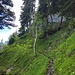 Klassisches Wegstück zwischen Ribihuisli und dem Gitzitritt. Eigentlich nicht schwierig aber die Hangneigung ist gefährlich und Ausrutscher können tödlich sein. Ca. T3.