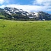 Blick zum Schilt-Gipfelbereich - oben liegt noch einiges an Schnee
