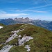 Auf diesem Gupf bewachte der Schneehahn sein Revier ..
