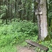 Links hinten befindet sich irgendwo die höchste Erhebung.