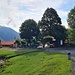 <b>Inizia una leggera discesa che mi conduce al tornante dove è ubicato il Rifugio Boffalora (1252 m). </b>