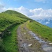 <b>Continuo verso la prima cima prefissata in fase di programmazione della gita. Proseguo su una sterrata piena di pozzanghere per un chilometro e mezzo.</b>