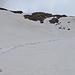 Mit Schneeschuhen kann man nicht Skifahren, aber Rutschen schon!