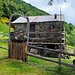 Alpe di Corgella