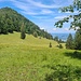 Kurz vor der Alm 